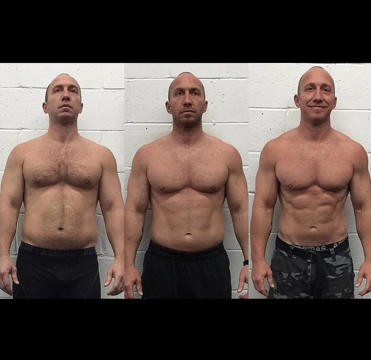 WELLFIT CALORIE SYSTEM™ Weight Loss · Recomposition · Performance Light WELLFITSTORE.COM