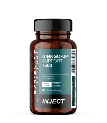 GINKGO-UP Support 7500 (60cps) Inject Nutrition