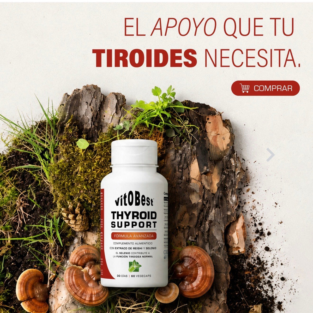 VitoBest Thyroid Support – Fórmula Avanzada 60 vegecaps