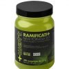 ramificati aminoacidi bcaa 300 +watt